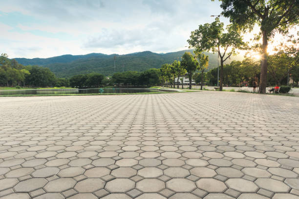 Best Concrete Paver Driveway  in Idylwood, VA